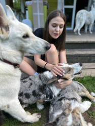 Similar image 21872653