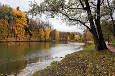 Similar image 21865804