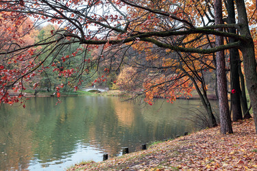 Similar image 21865806