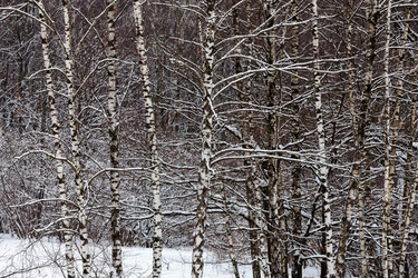 Similar image 21872321