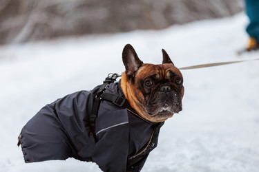 Similar image 21872323