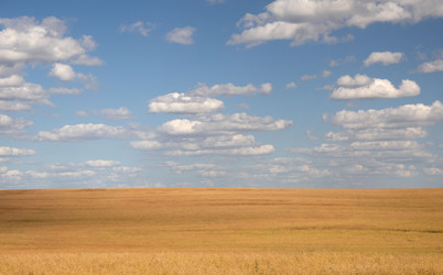 Similar image 21865809