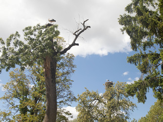 Similar image 21865810