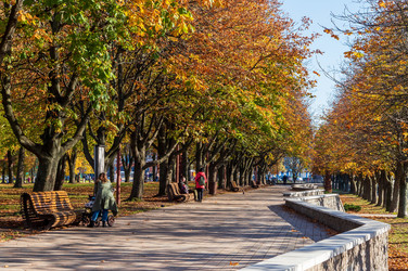 Similar image 21866621