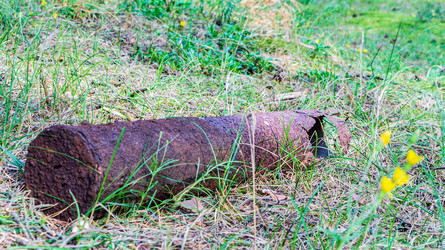 Similar image 21865824