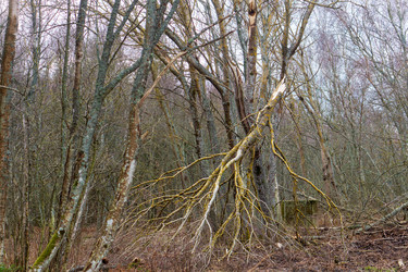 Similar image 21874103