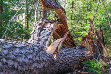 Similar image 21874105