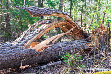 Similar image 21866623