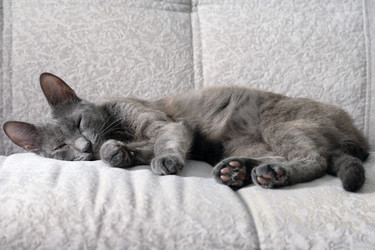 Similar image 21865826