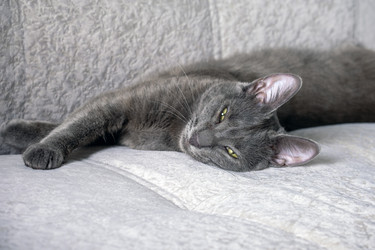 Similar image 21865828