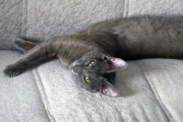 Similar image 21865829