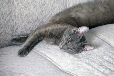 Similar image 21865830