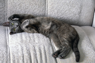 Similar image 21865834