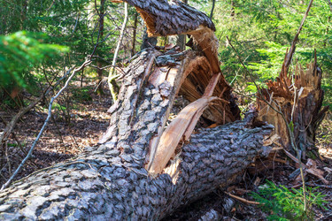 Similar image 21865836