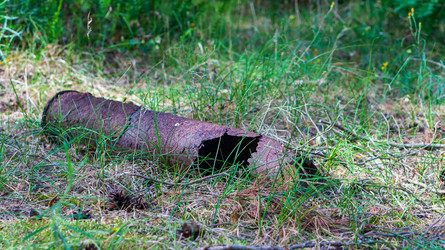 Similar image 21866626