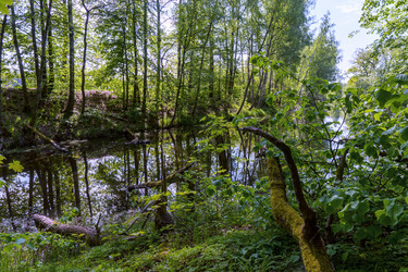 Similar image 21866627