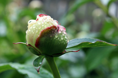 Similar image 21865841