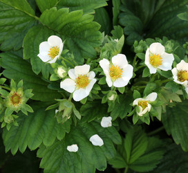 Similar image 21865842