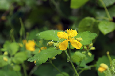 Similar image 21865843