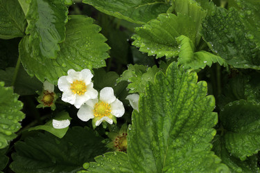 Similar image 21865846