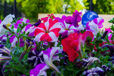 Similar image 21873217