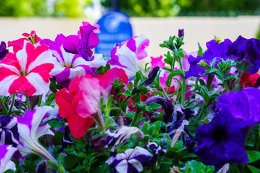 Similar image 21873218