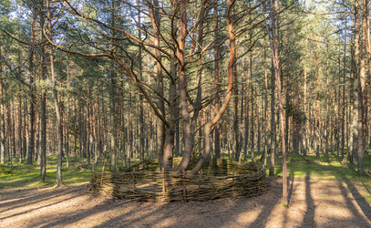 Similar image 21867430