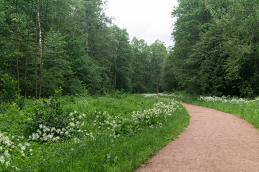 Similar image 21865933