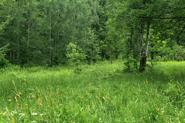 Similar image 21865934