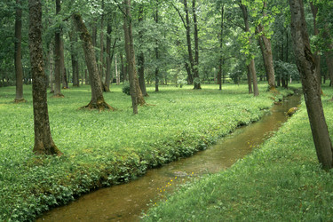 Similar image 21865937