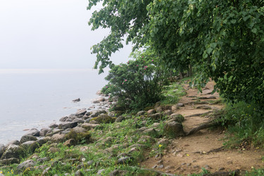 Similar image 21865940