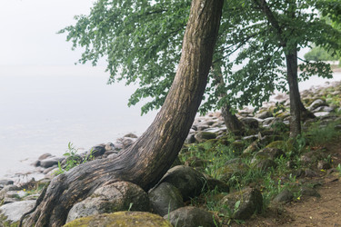 Similar image 21865943