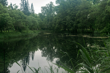 Similar image 21865951