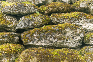 Similar image 21865952