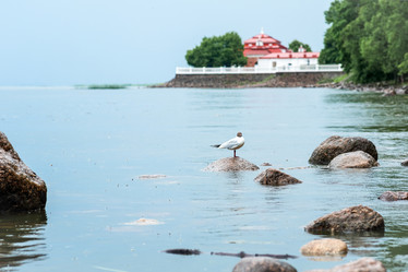 Similar image 21865955