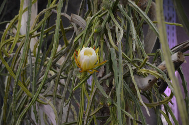 Similar image 21866644