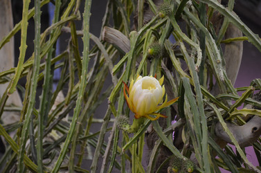 Similar image 21874108