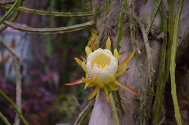 Similar image 21874109