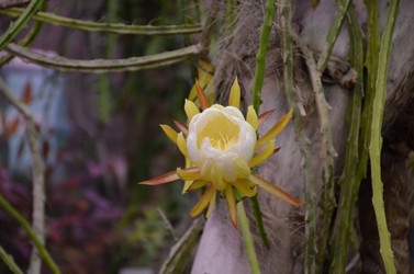 Similar image 21866645