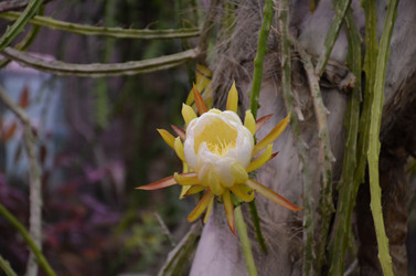 Similar image 21874110