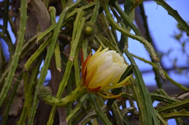 Similar image 21874111