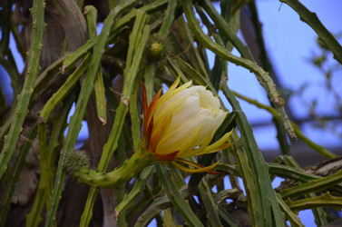 Similar image 21874112