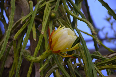 Similar image 21866646