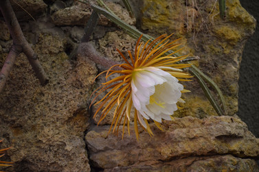 Similar image 21874113