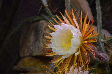 Similar image 21866648