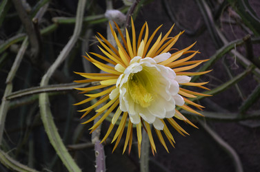 Similar image 21866649