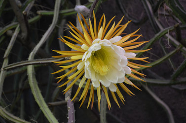 Similar image 21874114