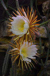 Similar image 21874115