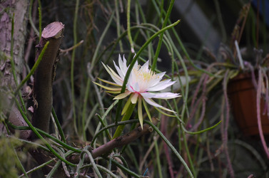 Similar image 21866652