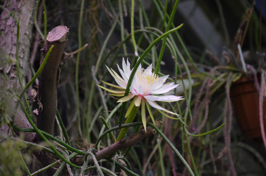 Similar image 21874118